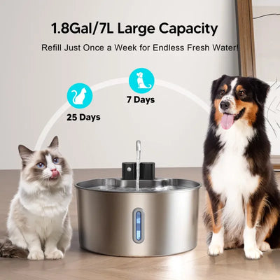 The Doggy Fountain™ Health Bundle