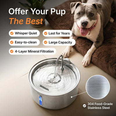 The Doggy Fountain™ Health Bundle
