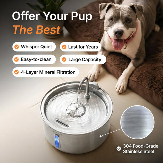 The Doggy Fountain™ Health Bundle
