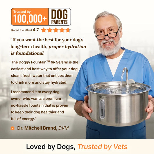 The Doggy Fountain™ Health Bundle