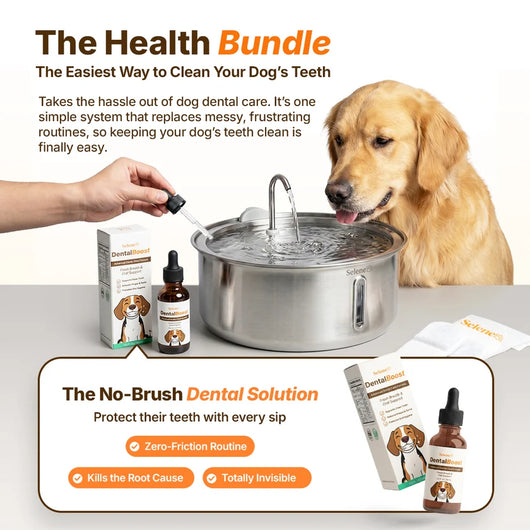 The Doggy Fountain™ Health Bundle