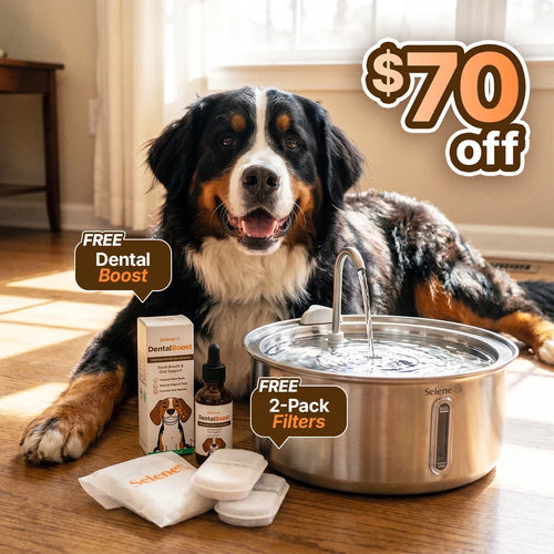 The Doggy Fountain™ Health Bundle