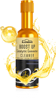 CATALYTIC CONVERTER CLEANER